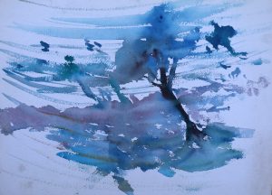 blue wind